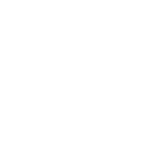 Diamond Quantum Magnetic Sensing