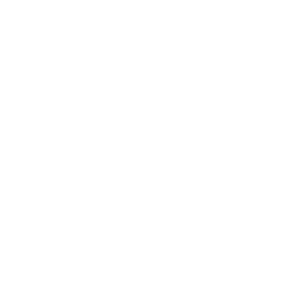 GPS Icon